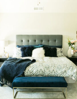 theme-6